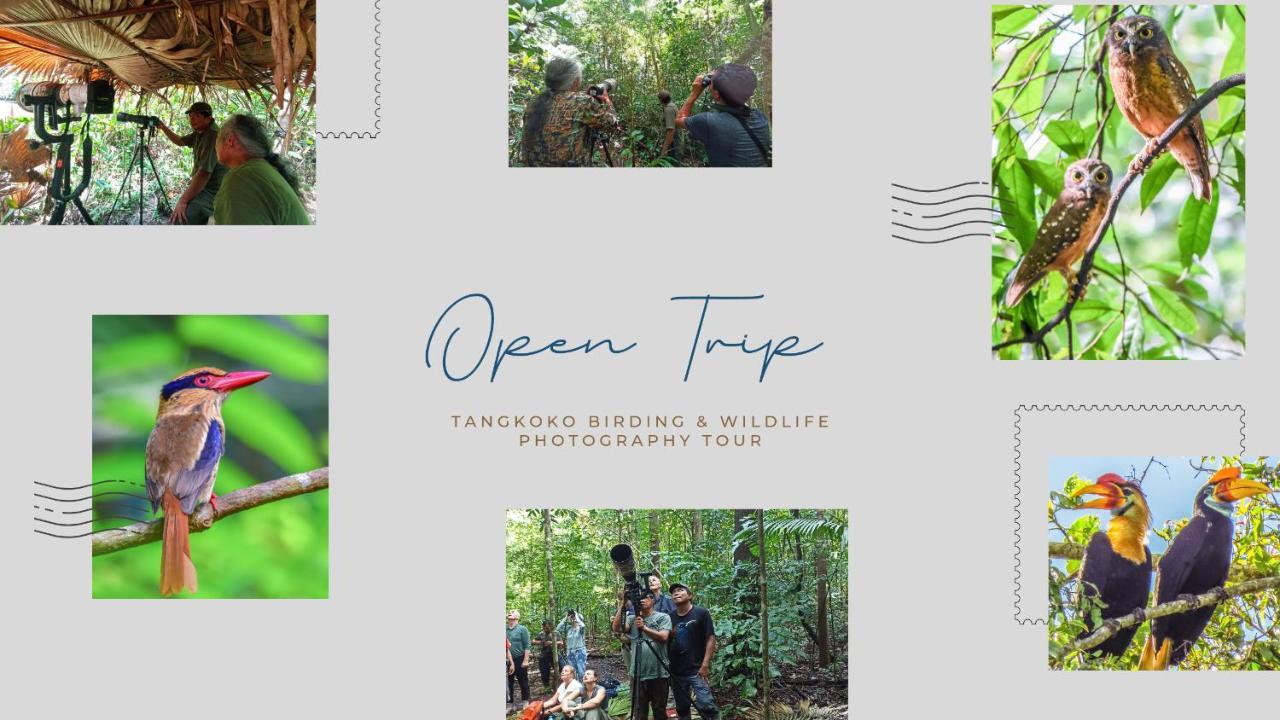 Tangkoko Ranger Homestay Bitung Eksteriør billede